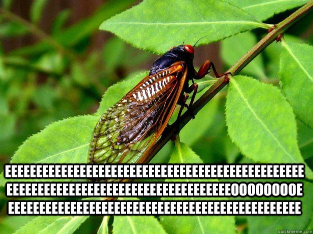 EEEEEEEEEEEEEEEEEEEEEEEEEEEEEEEEEEEEEEEEEEEEEEEEEEEEEEEEEEEEEEEEEEEEEEEEEEEEEEEEEEEEooooooooEEEEEEEEEEEEEEEEEEEEEEEEEEEEEEEEEEEEEEEEEEEEEEEE  - EEEEEEEEEEEEEEEEEEEEEEEEEEEEEEEEEEEEEEEEEEEEEEEEEEEEEEEEEEEEEEEEEEEEEEEEEEEEEEEEEEEEooooooooEEEEEEEEEEEEEEEEEEEEEEEEEEEEEEEEEEEEEEEEEEEEEEEE   Annoying cicada