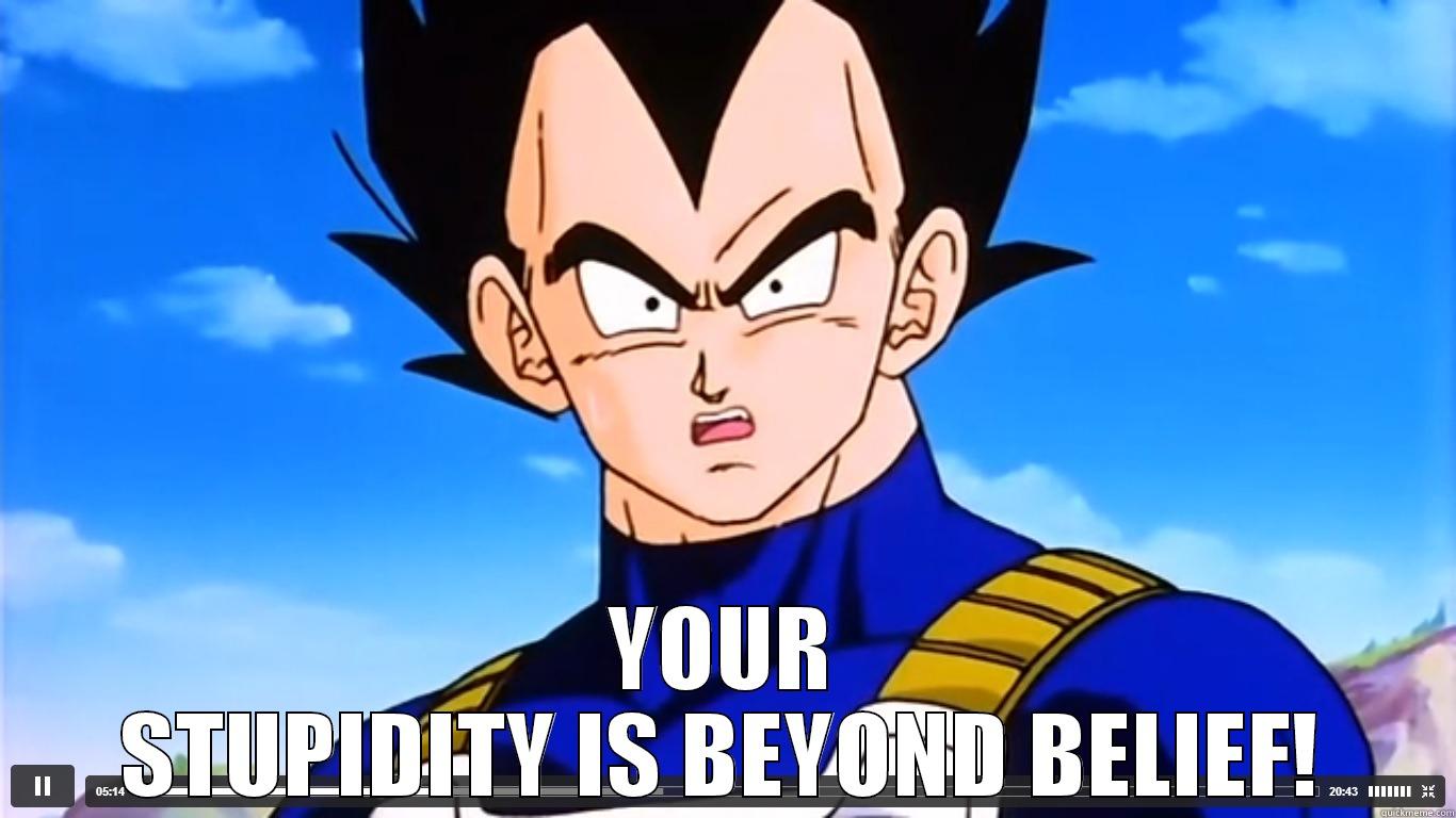 Vegeta Can't Believe Your Stupidity -  YOUR STUPIDITY IS BEYOND BELIEF! Misc