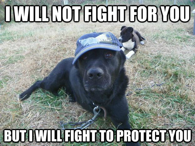 i will not fight for you but i will fight to protect you - i will not fight for you but i will fight to protect you  1300 doller dog