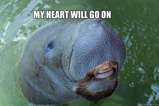 My heart will go on - My heart will go on  Manateen Cleaves