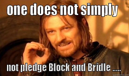 ONE DOES NOT SIMPLY  NOT PLEDGE BLOCK AND BRIDLE ..... Boromir