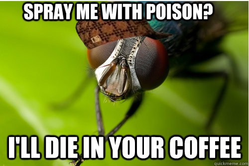 spray me with poison? I'll die in your coffee  Scumbag Fly