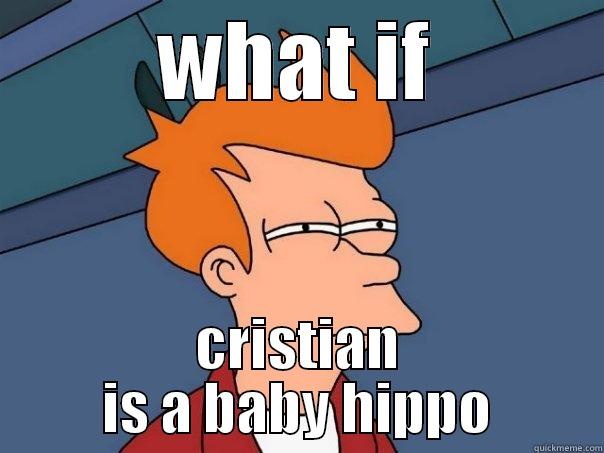WHAT IF CRISTIAN IS A BABY HIPPO Futurama Fry