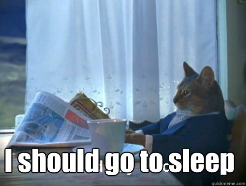  I should go to sleep -  I should go to sleep  Rich cat is rich