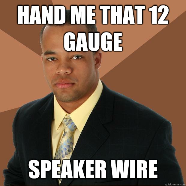 Hand me that 12 gauge speaker wire   Successful Black Man