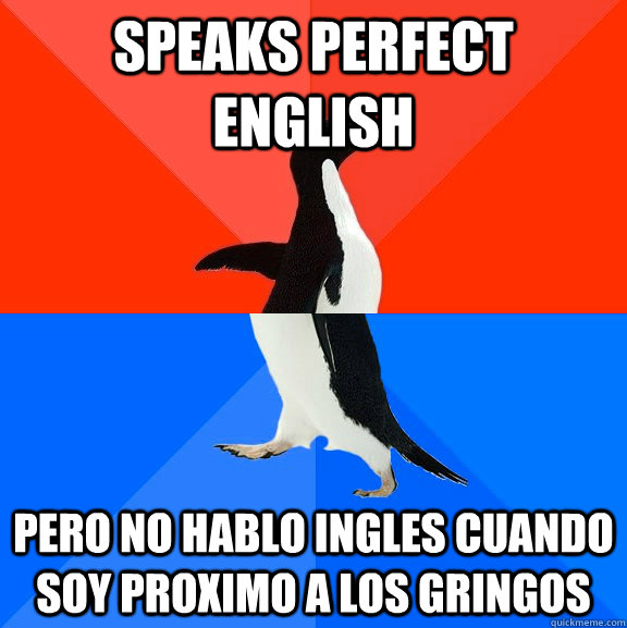 Speaks perfect english  Pero no hablo ingles cuando soy proximo a los gringos  Socially Awesome Awkward Penguin