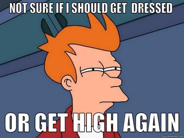 NOT SURE IF I SHOULD GET  DRESSED   OR GET HIGH AGAIN Futurama Fry