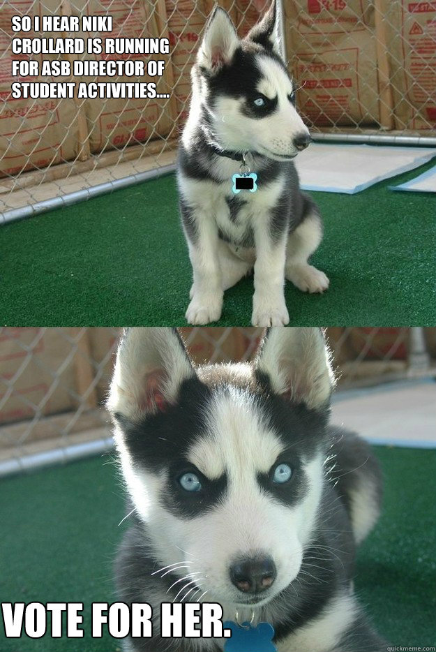 so i hear Niki crollard is running for asb director of student activities.... vote for her.  Insanity puppy