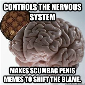 Controls the nervous system Makes scumbag penis memes to shift the blame. - Controls the nervous system Makes scumbag penis memes to shift the blame.  Misc