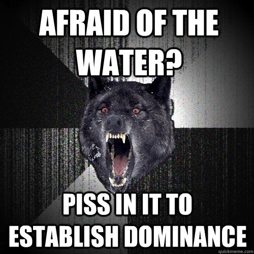 afraid of the water? piss in it to establish dominance  Insanity Wolf