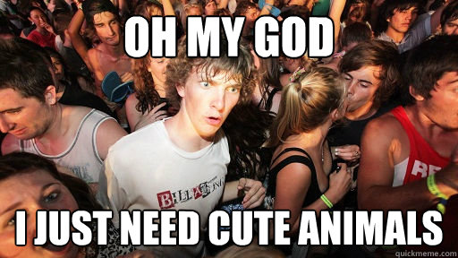 Oh my god i just need cute animals  Sudden Clarity Clarence