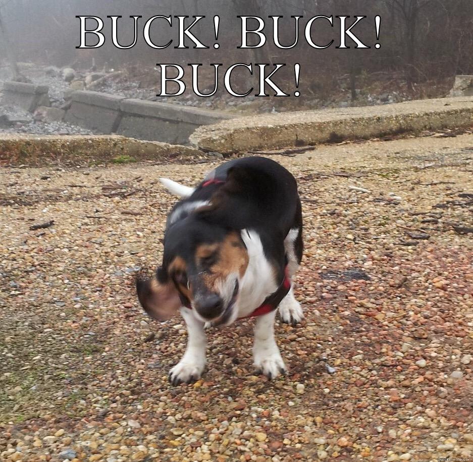 BUCK! BUCK! BUCK! HALLELUJAH! HOLY SHIT! WHERE'S THE TYLENOL? Misc