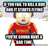 if you fail to kill a bug and it starts flying You're gonna have a bad time  Aspen Ski Instructor