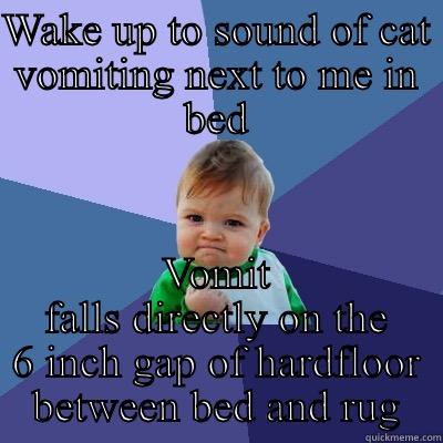 Cat vomit - WAKE UP TO SOUND OF CAT VOMITING NEXT TO ME IN BED VOMIT FALLS DIRECTLY ON THE 6 INCH GAP OF HARDFLOOR BETWEEN BED AND RUG Success Kid