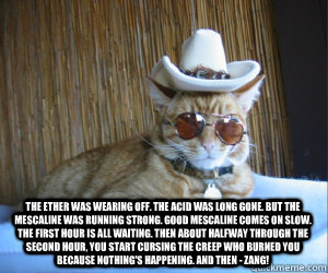 The ether was wearing off. The acid was long gone. But the mescaline was running strong. Good mescaline comes on slow. The first hour is all waiting. Then about halfway through the second hour, you start cursing the creep who burned you because nothing's   Fear and Loathing cat