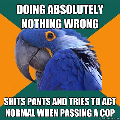 doing absolutely nothing wrong shits pants and tries to act normal when passing a cop  Paranoid Parrot