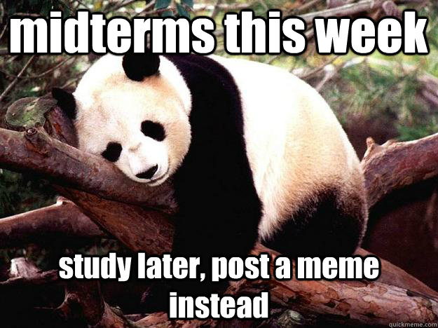 midterms this week study later, post a meme instead  Procrastination Panda