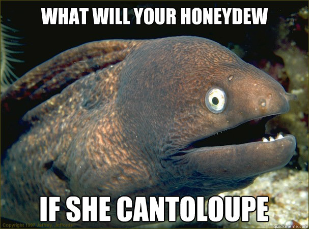What will your honeydew if she cantoloupe  Bad Joke Eel