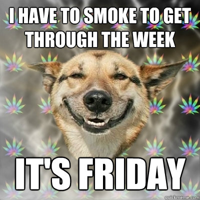 I have to smoke to get through the week It's friday  Stoner Dog