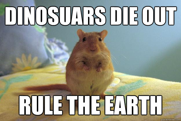 Dinosuars die out rule the earth - Dinosuars die out rule the earth  Gerbillinae-Erectus