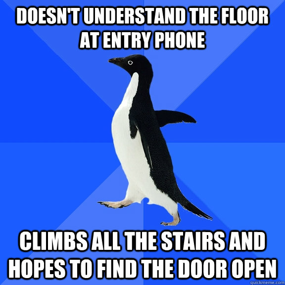 Doesn't understand the floor at entry phone climbs all the stairs and hopes to find the door open  Socially Awkward Penguin
