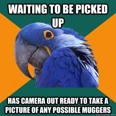 waiting to be picked up has camera out ready to take a picture of any possible muggers  Paranoid Parrot