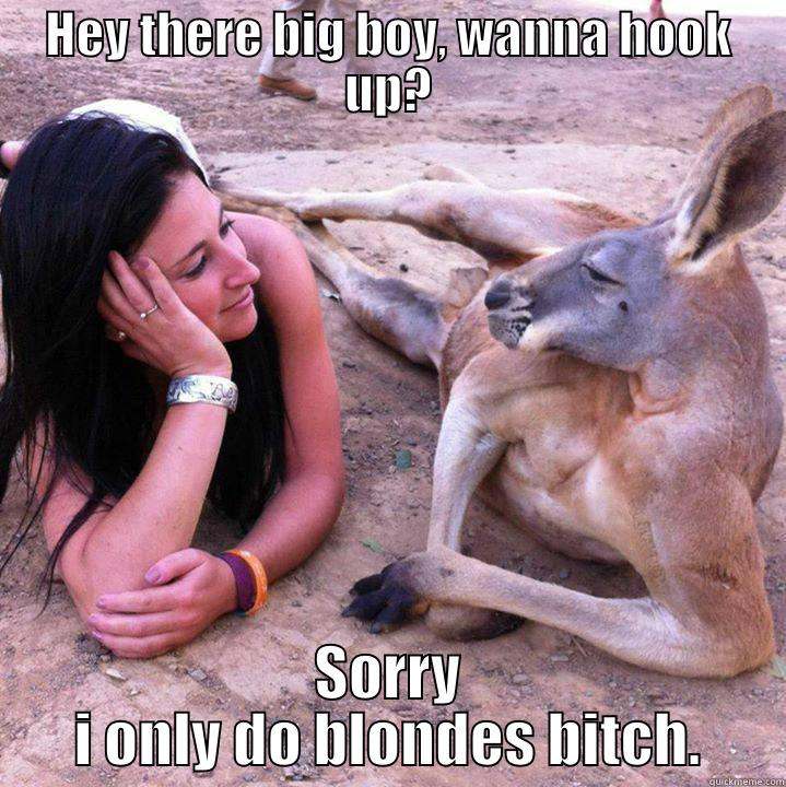 HEY THERE BIG BOY, WANNA HOOK UP? SORRY I ONLY DO BLONDES BITCH. Misc
