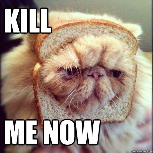 KILL  ME NOW - KILL  ME NOW  sad breadcat
