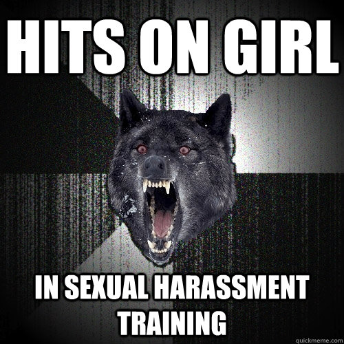 Hits on girl in sexual harassment training - Hits on girl in sexual harassment training  Insanity Wolf