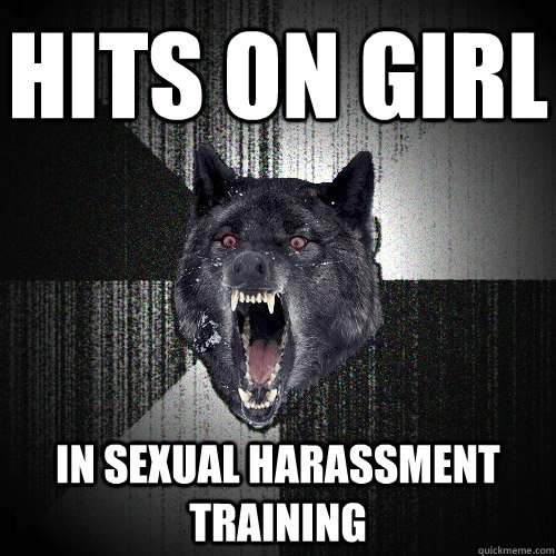 Hits on girl in sexual harassment training  Insanity Wolf