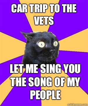 Car trip to the vets Let me sing you the song of my people  