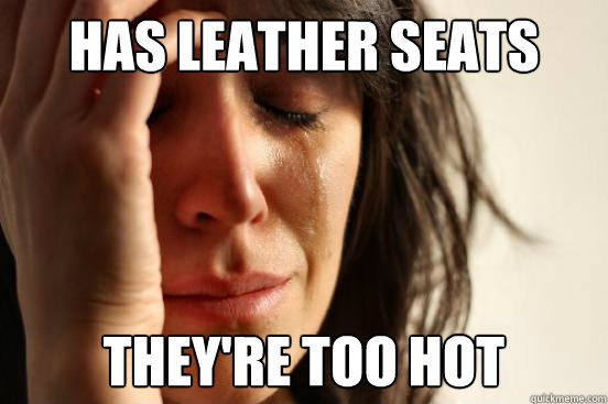 Has leather seats They're too hot  First World Problems