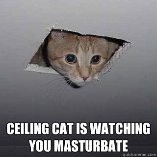  Ceiling Cat is watching you masturbate  Ceiling Cat