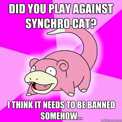 Did you play against Synchro cat? I think it needs to be banned somehow...  Slowpoke