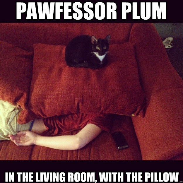 Pawfessor Plum in the living room, with the pillow - Pawfessor Plum in the living room, with the pillow  jealous cat