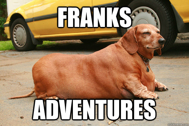 FRANKS ADVENTURES - FRANKS ADVENTURES  Misc