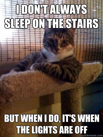 I don't always sleep on the stairs But when I do, it's when the lights are off  The Most Interesting Cat in the World