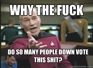 Why the fuck Do so many people down vote this shit?  Annoyed Picard