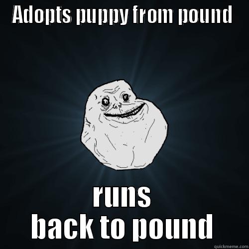 ADOPTS PUPPY FROM POUND RUNS BACK TO POUND Forever Alone