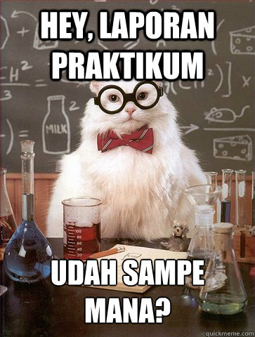 hey, laporan praktikum udah sampe mana?  Science Cat
