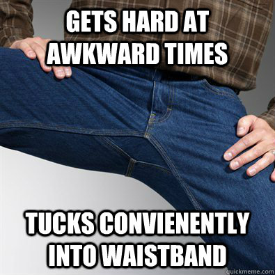 Gets hard at awkward times Tucks convienently into waistband  Scumbag Penis