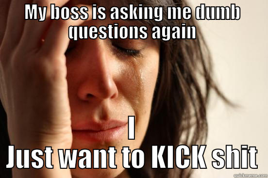 MY BOSS IS ASKING ME DUMB QUESTIONS AGAIN I JUST WANT TO KICK SHIT First World Problems