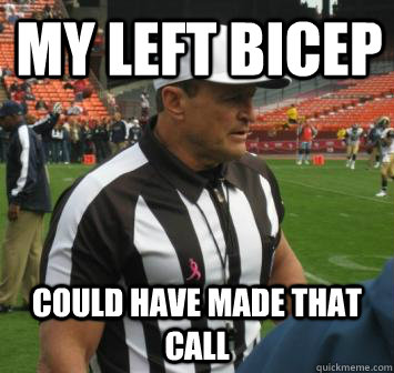 My left bicep could have made that call  Ed Hochuli facts