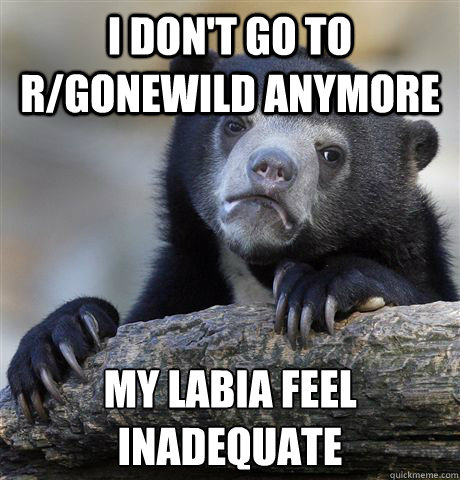 i don't go to r/gonewild anymore my labia feel inadequate - i don't go to r/gonewild anymore my labia feel inadequate  Confession Bear