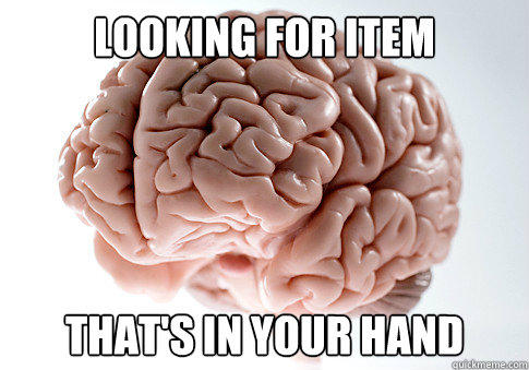 looking for item that's in your hand - looking for item that's in your hand  Scumbag Brain