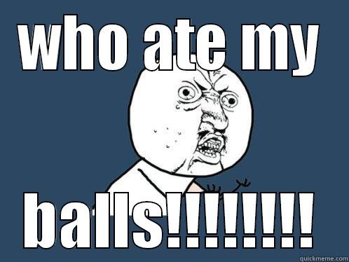 WHO ATE MY BALLS!!!!!!!! Y U No