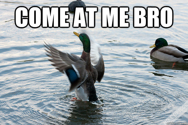 COME AT ME BRO  - COME AT ME BRO   bro duck