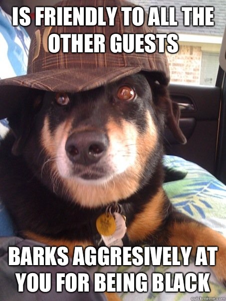 Is friendly to all the other guests Barks aggresively at you for being black  Scumbag dog