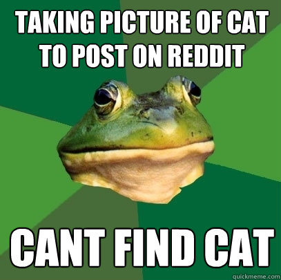 taking picture of cat
to post on reddit cant find cat  Foul Bachelor Frog