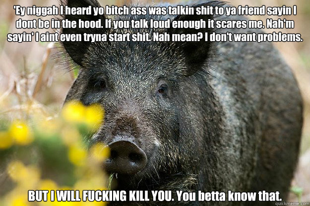 'Ey niggah I heard yo bitch ass was talkin shit to ya friend sayin I dont be in the hood. If you talk loud enough it scares me. Nah'm sayin' I aint even tryna start shit. Nah mean? I don't want problems. BUT I WILL FUCKING KILL YOU. You betta know that. - 'Ey niggah I heard yo bitch ass was talkin shit to ya friend sayin I dont be in the hood. If you talk loud enough it scares me. Nah'm sayin' I aint even tryna start shit. Nah mean? I don't want problems. BUT I WILL FUCKING KILL YOU. You betta know that. Boars in the Hood